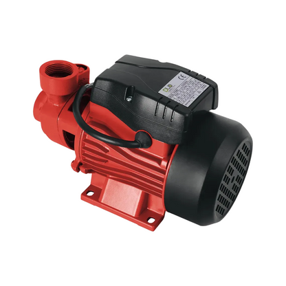 Bomba Periférica Duo 1/2 Hp Pkm60 Pg4402I