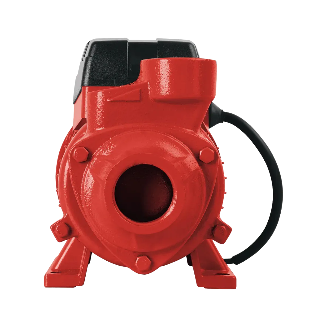 Bomba Periférica Duo 1/2 Hp Pkm60 Pg4402I