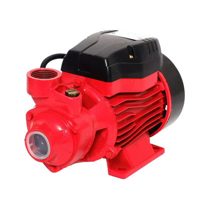 Bomba Periférica Duo 1/2 Hp Pkm60 Pg4402I