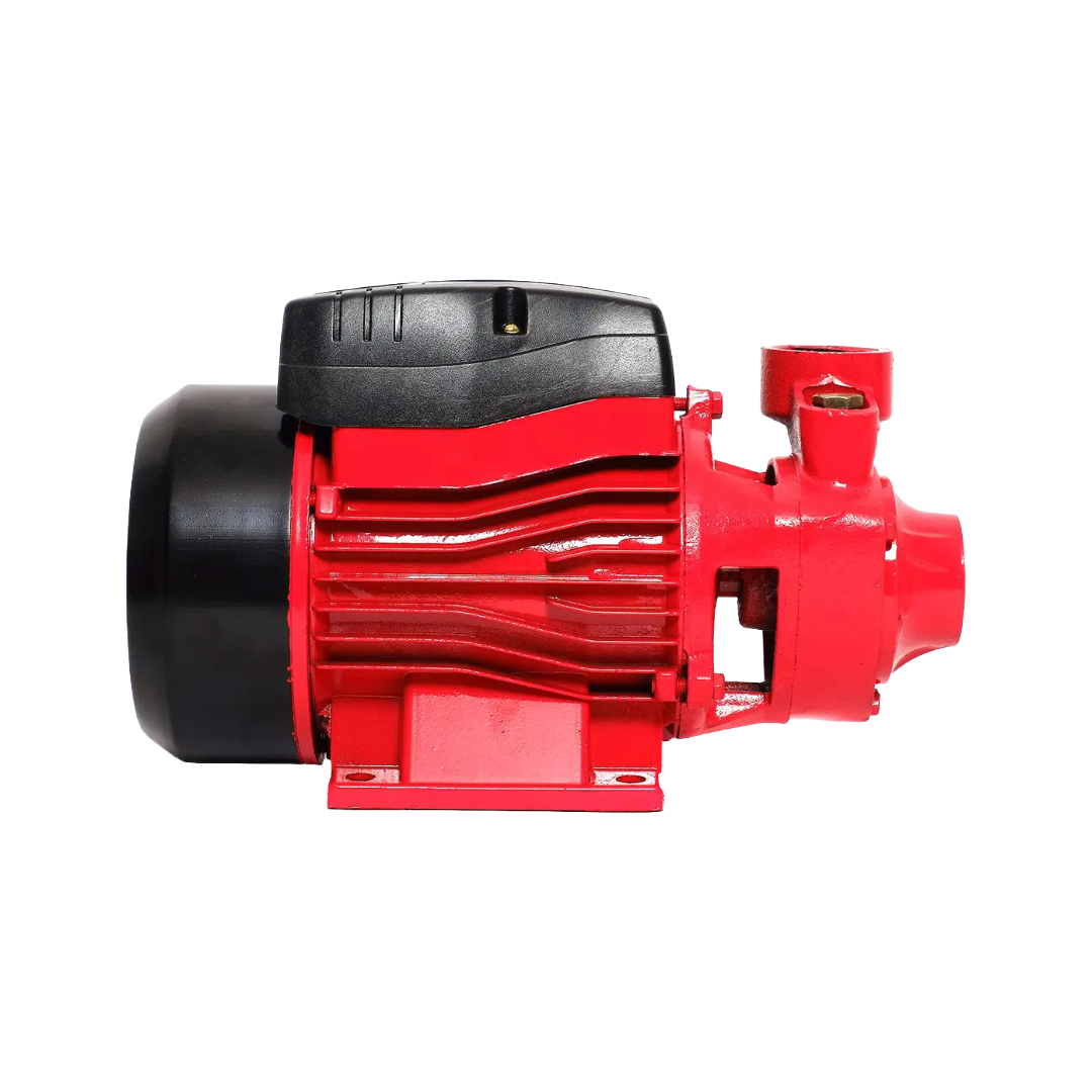 Bomba Periférica Duo 1/2 Hp Pkm60 Pg4402I
